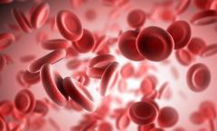 Diminution du taux d'hémoglobine chez l'adulte : causes et conséquences Vitamines et compléments alimentaires