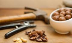 Как правильно и быстро очистить грецкие орехи от скорлупы