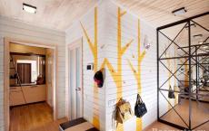 Diseño de un vestíbulo de entrada en una casa privada: arreglos e ideas fotográficas.