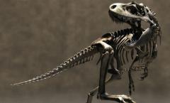Детский проект «Почему вымерли динозавры