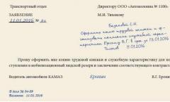 Reglamento sobre el procedimiento para la estancia de ciudadanos de la Federación de Rusia en la reserva humana de movilización - Rossiyskaya Gazeta
