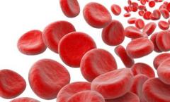 Low hemoglobin in a child: causes and ways to normalize hemoglobin levels
