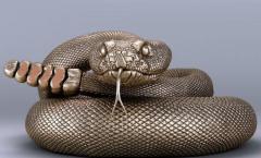 Zodíaco chino Serpiente Horóscopo Serpiente en el Año de la Serpiente